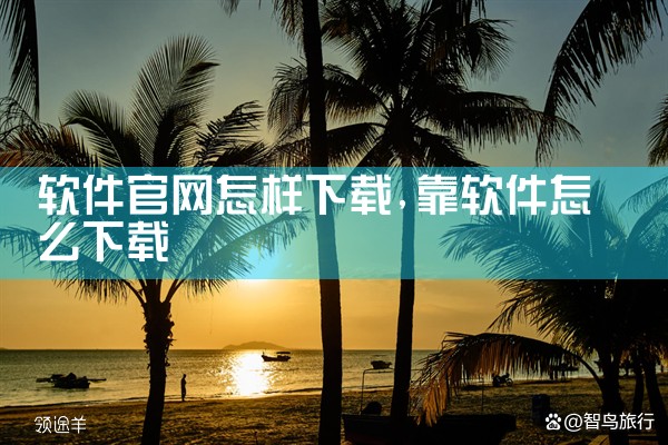 软件官网怎样下载