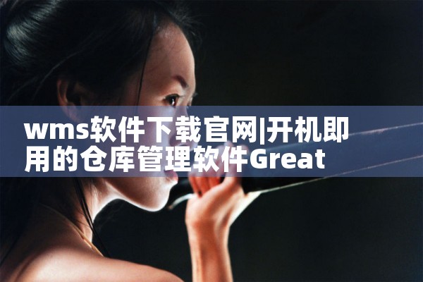 wms软件下载官网