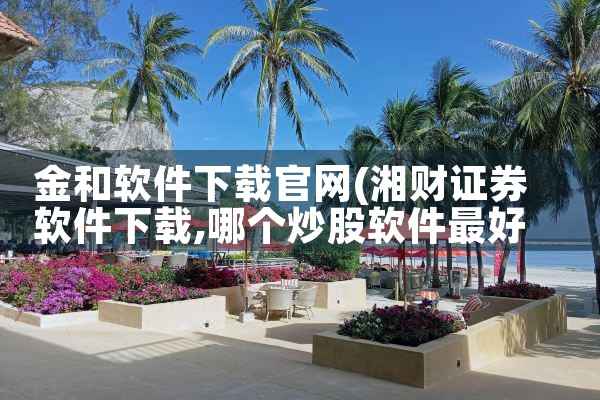 金和软件下载官网