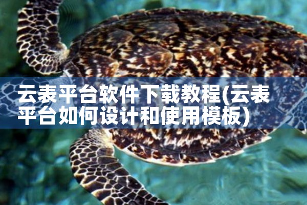 云表平台软件下载教程
